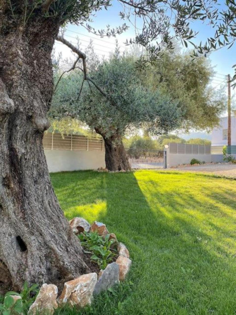 Olives Villa Sinoikismos Kambos Εξωτερικό φωτογραφία