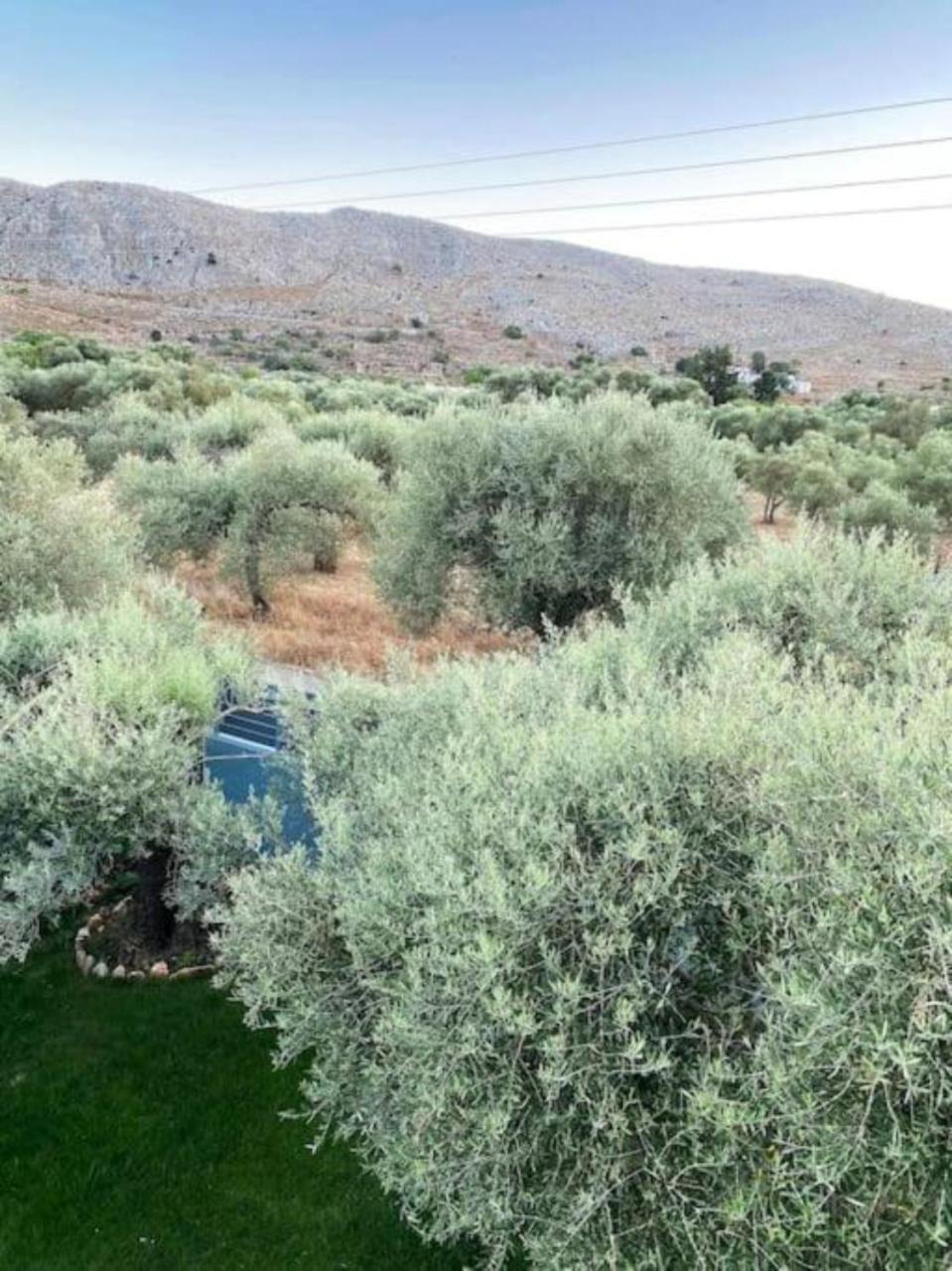 Olives Villa Sinoikismos Kambos Εξωτερικό φωτογραφία